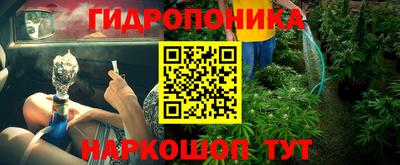гашик Партизанск