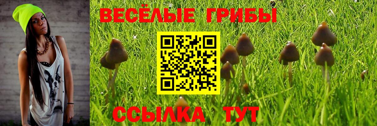 Галлюциногенные грибы Cubensis Рославль