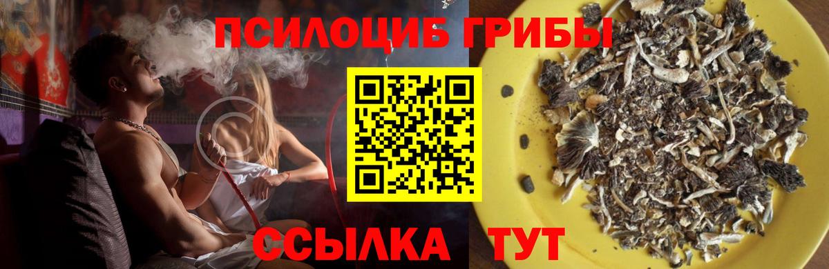 Галлюциногенные грибы Psilocybe  Псилоцибиновые грибы мицелий  Вход с VPN  Рославль 